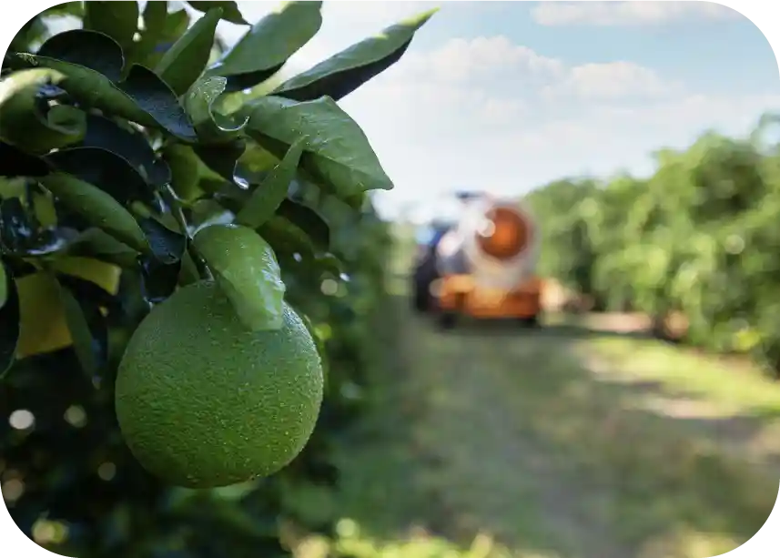 clientes _4- AGTech