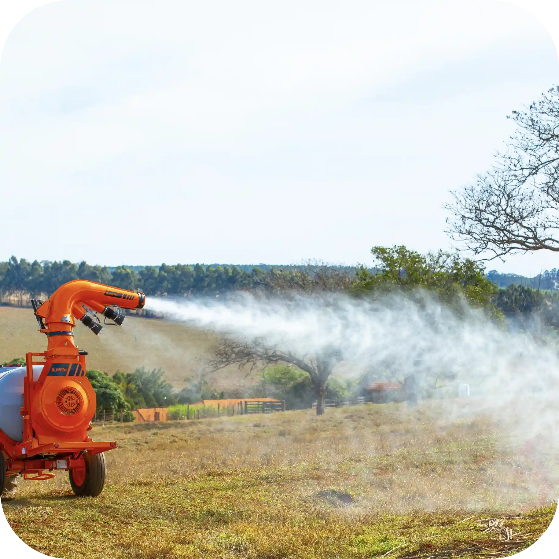 producto 3- AGTech (1)